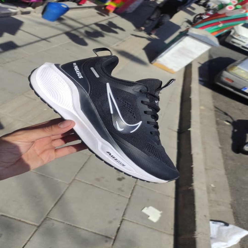 NIKE Pegasus