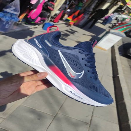 NIKE Pegasus